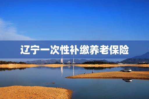 辽宁一次性补缴养老保险