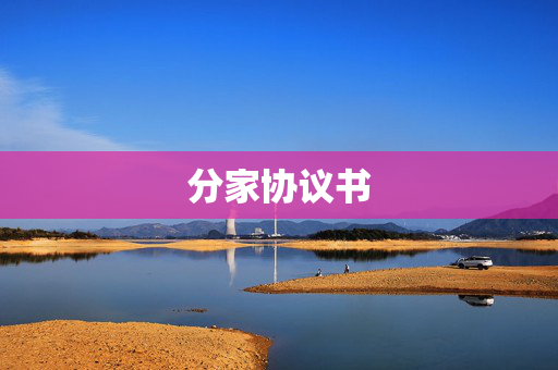 分家协议书
