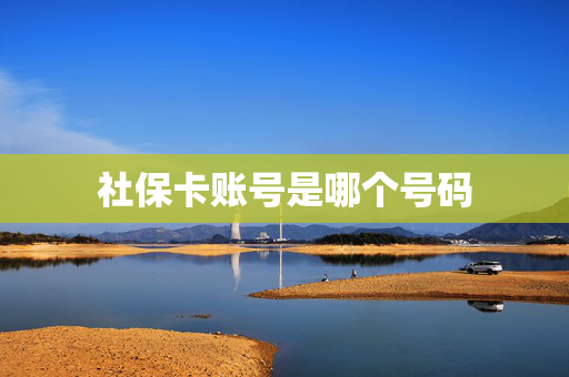 社保卡账号是哪个号码