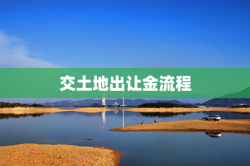 交土地出让金流程