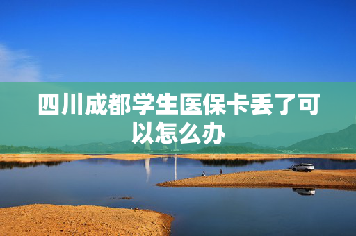 四川成都学生医保卡丢了可以怎么办