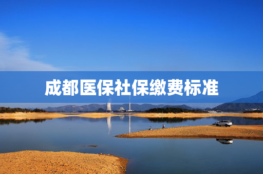 成都医保社保缴费标准