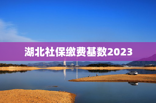 湖北社保缴费基数2023