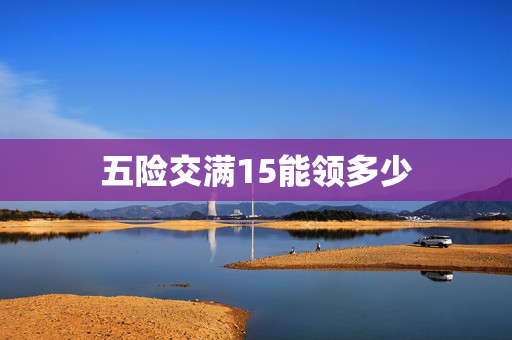 五险交满15能领多少