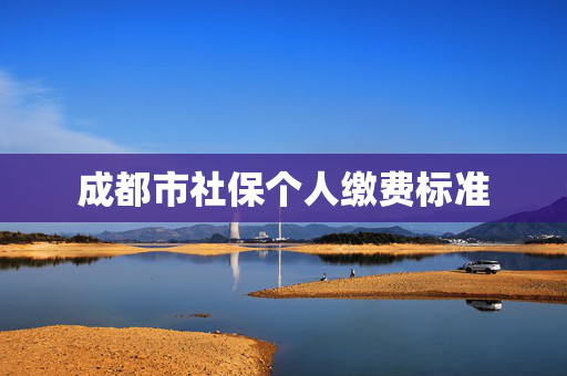 成都市社保个人缴费标准
