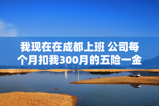 我现在在成都上班 公司每个月扣我300月的五险一金我想知道具体我是交的多少的住房公积金和养老保险。