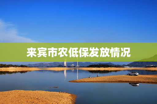 来宾市农低保发放情况