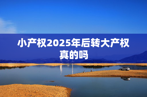 小产权2025年后转大产权真的吗