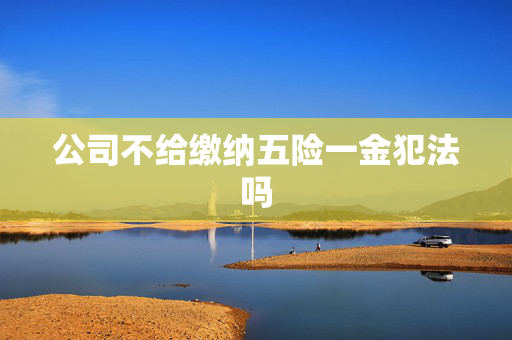 公司不给缴纳五险一金犯法吗