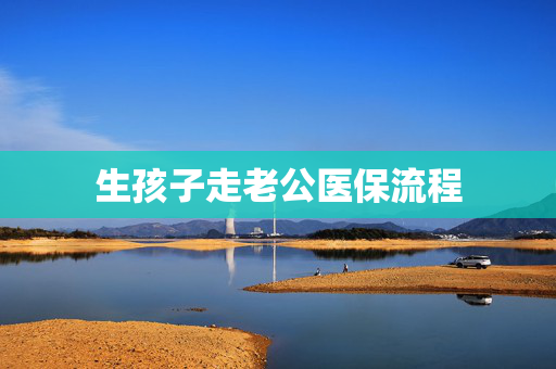 生孩子走老公医保流程