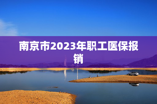 南京市2023年职工医保报销