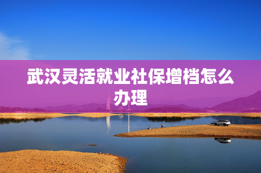 武汉灵活就业社保增档怎么办理