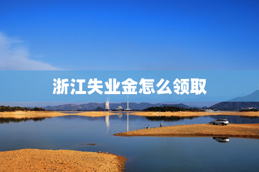 浙江失业金怎么领取