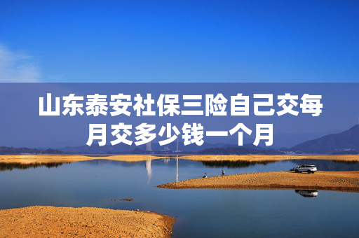 山东泰安社保三险自己交每月交多少钱一个月