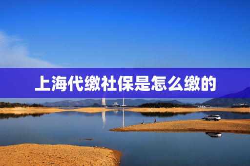 上海代缴社保是怎么缴的