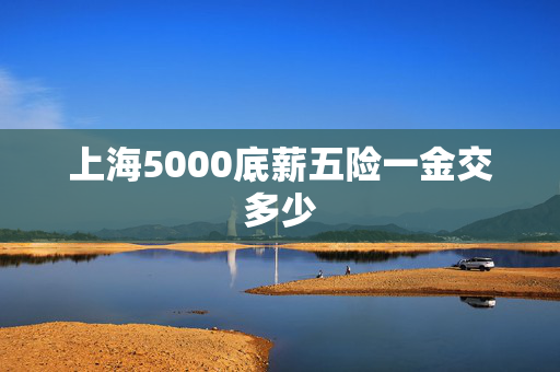 上海5000底薪五险一金交多少