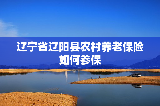 辽宁省辽阳县农村养老保险如何参保