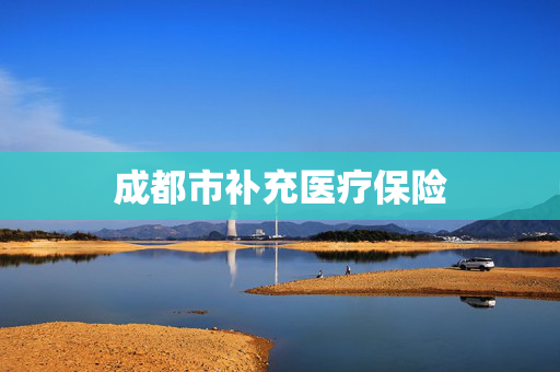 成都市补充医疗保险