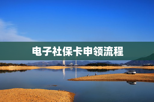 电子社保卡申领流程