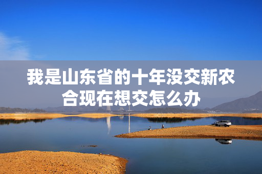 我是山东省的十年没交新农合现在想交怎么办