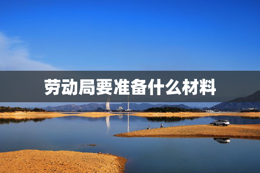 劳动局要准备什么材料
