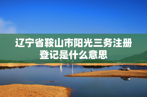 辽宁省鞍山市阳光三务注册登记是什么意思