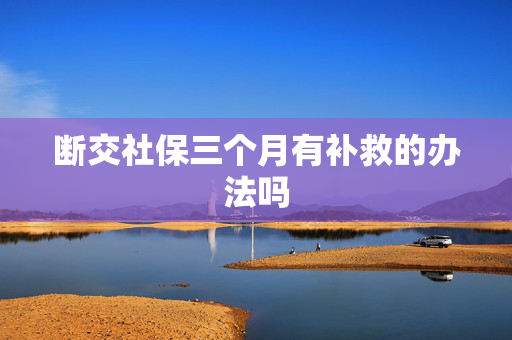 断交社保三个月有补救的办法吗