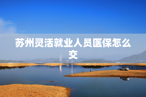 苏州灵活就业人员医保怎么交
