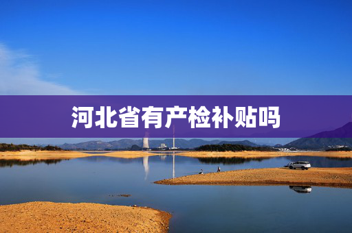 河北省有产检补贴吗