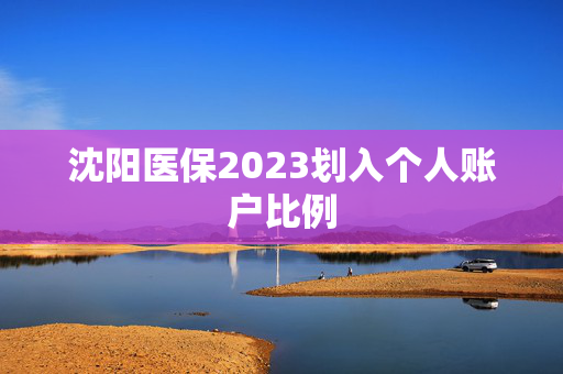 沈阳医保2023划入个人账户比例