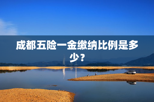 成都五险一金缴纳比例是多少？