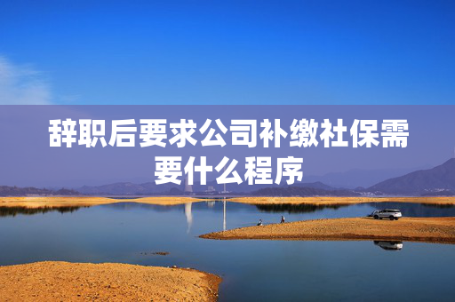 辞职后要求公司补缴社保需要什么程序