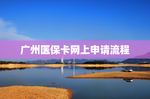 广州医保卡网上申请流程