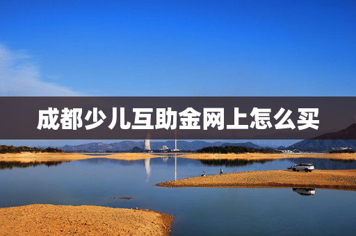 成都少儿互助金网上怎么买