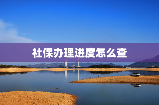 社保办理进度怎么查