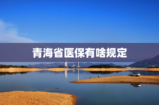 青海省医保有啥规定