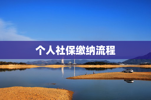 个人社保缴纳流程
