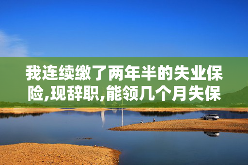 我连续缴了两年半的失业保险,现辞职,能领几个月失保金,大约多少钱,怎么计算的?