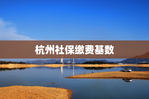 杭州社保缴费基数
