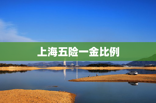 上海五险一金比例