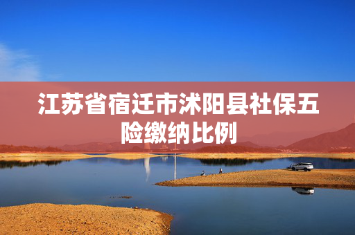 江苏省宿迁市沭阳县社保五险缴纳比例