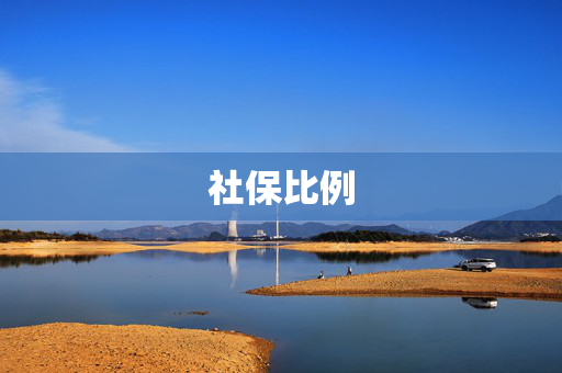 社保比例