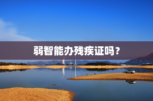 弱智能办残疾证吗？