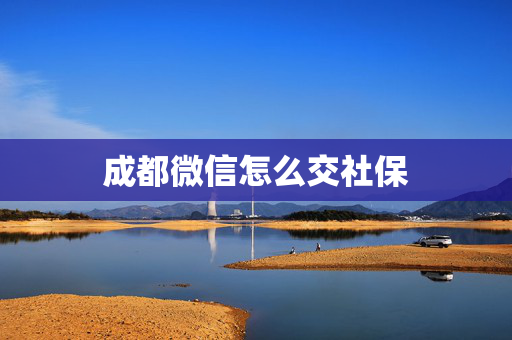 成都微信怎么交社保