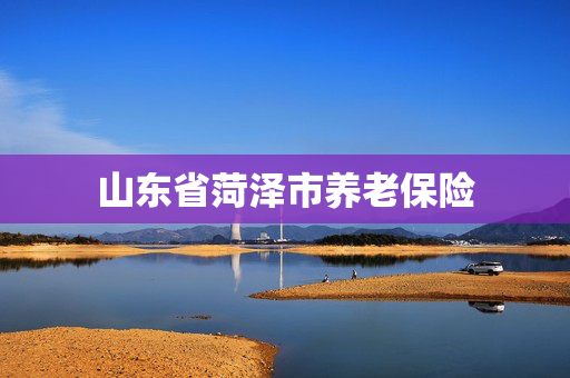 山东省菏泽市养老保险