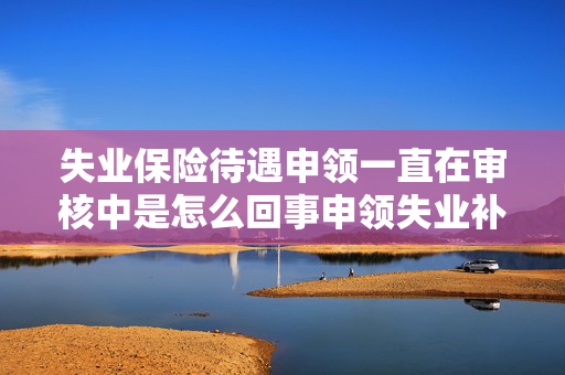 失业保险待遇申领一直在审核中是怎么回事申领失业补助金一直显示审
