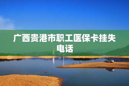 广西贵港市职工医保卡挂失电话