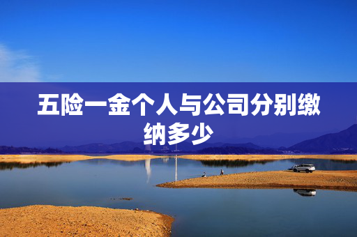 五险一金个人与公司分别缴纳多少