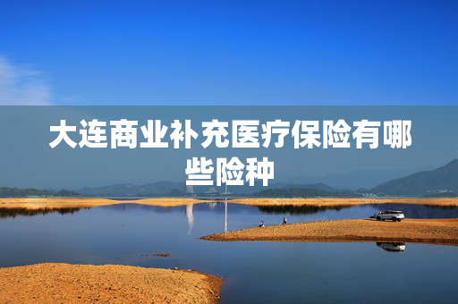 大连商业补充医疗保险有哪些险种