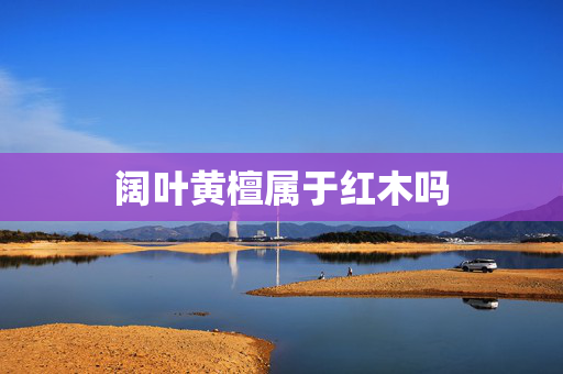 阔叶黄檀属于红木吗